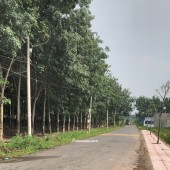 Bán mặt tiền nhựa liên ấp, gần ngã tư Gia Vĩnh, An Viễn, Đồng Nai